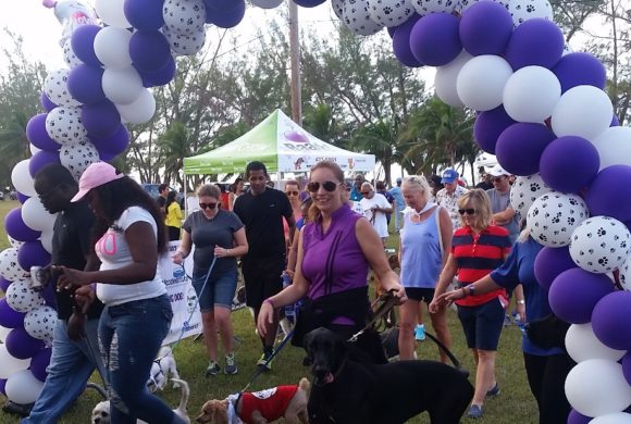 Pet Food Institute-Caribbean sponsors BAARK’s Strut Your Mutt Walkathon